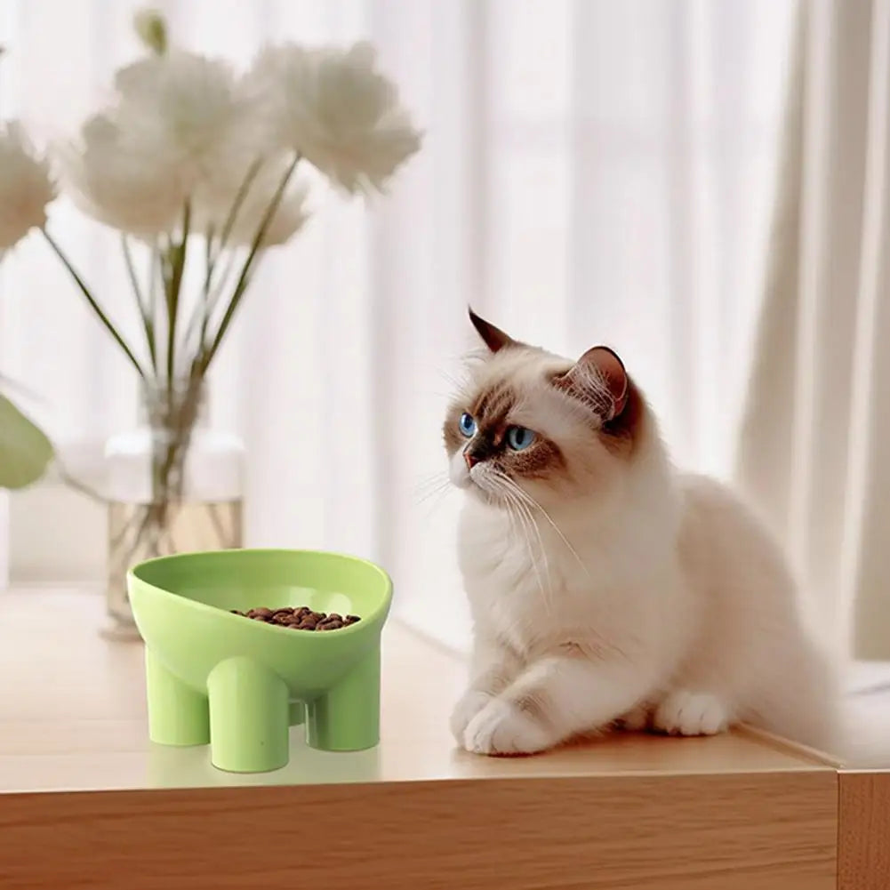 Elevated Anti-Vomit Bowl