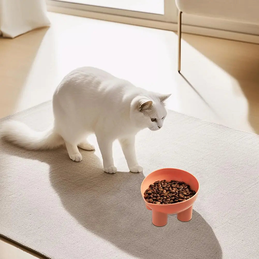 Elevated Anti-Vomit Bowl