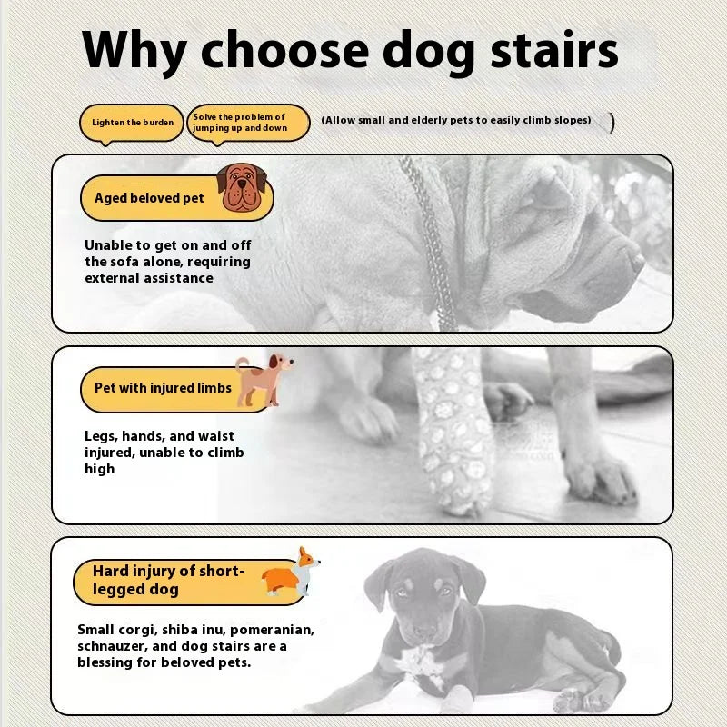 GoldenPaws Pet Stairs — Safe Access for Senior Dogs